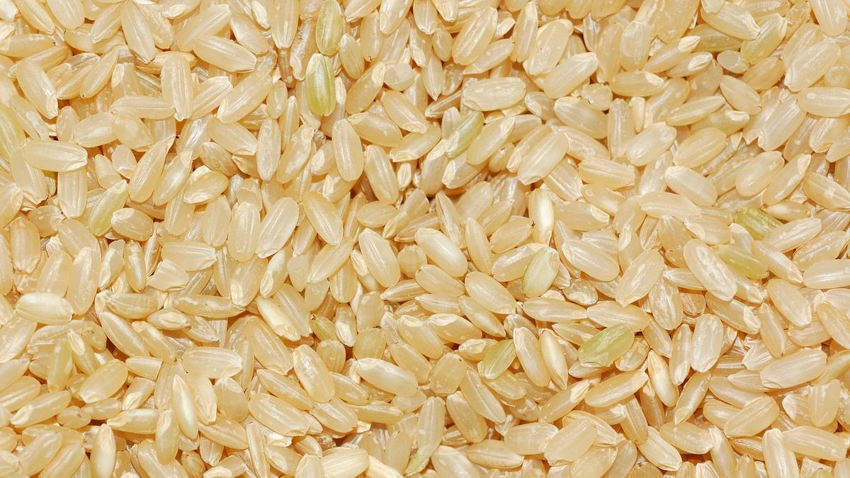 Pirinç Proteininde Ağır Metal Kontrolü: Satın Alırken Nelere Bakılmalı?
